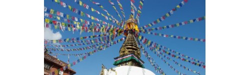 Tibetan prayer flag