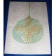 bamboo decorated handmade paper single card