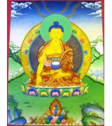 Shakyamuni Buddha 