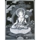 Black & White-White Tara 