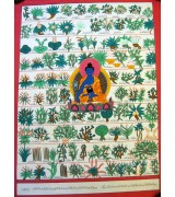Medicinal Thangka 