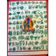 Medicinal Thangka 