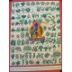 Medicinal Thangka (35*46)cm