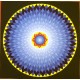 Lotus Mandala Painting 