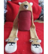 Woolen Animal Hat-6 Pcs