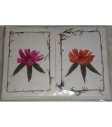 Handmade Flower Card-6 packet
