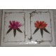 Handmade Flower Card-6 packet