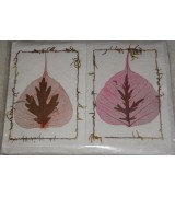 Handmade Leaf Card-6 packet
