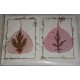 Handmade Leaf Card-6 packet