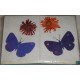 Handmade Butterfly Card-6 packet
