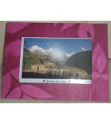 Handmade Leaf Shade Photo Frame