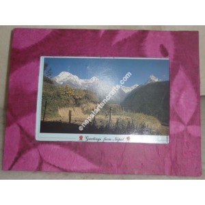 http://www.nepalwomencrafts.com/img/p/867-1046-thickbox.jpg